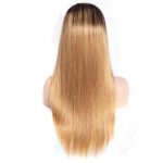 1b27 color straight hair wig