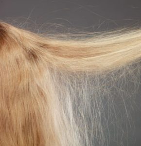 How To Fix Winter’s 5 Worst Hair Problems | Recool Hair